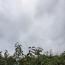 비야농장 이미지