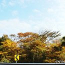 제주마실 게스트하우스 이미지