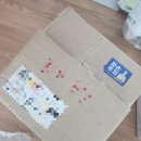 그로브팟 토분 쇼핑 B급 상품 주문 후기