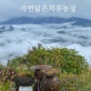 자연닮은 치유농장 이미지