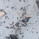 성내천로 이미지