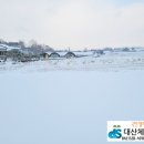 재오지리 네이버블로그