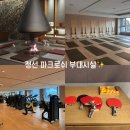 11650-17-29-1 | 정선 파크로쉬 부대시설(웰니스 프로그램, 배드민턴 실내 액티비티) 29주차 임산부의 카밍요가 체험후기