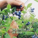 재권농장 이미지