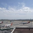 계류장 앞 이미지