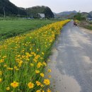 금국농장 이미지