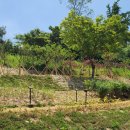 송간초등학교 이미지