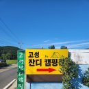 고성잔디캠핑장 데크사이트 16번 후기