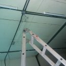 곰식이카 이미지