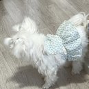 세븐일레븐 경주문산우박점 | Lㅐ힘들ㄷr