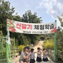 새터농장 이미지