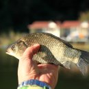 상곡낚시터 이미지