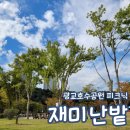 재미난밭 | 광교호수공원 피크닉 재미난밭 주차 단풍 후기 수원 용인 광교 서울 근교 경기도