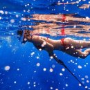 대관축산 이미지