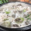 포토그라피코 이미지