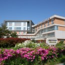 바른자세, 시니어모델 | 고흥군에 시니어모델 나도모델 도전하기, 바른자세, 바른체형, 아름다움은 시니어모델에서부터 ....