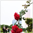 나루빌딩 이미지