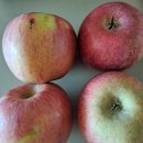 어울농장 이미지