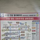 (주)펫스테이션 | 부산 꼬똥 드 툴레아의 성지! '꼬똥드피피피' 애견카페 내돈내산 방문기 (주차·위생 필수팁 포함)