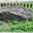 도련지석묘 1호 이미지