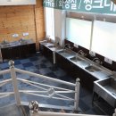 웰리힐리파크 오토캠핑장 티스토리