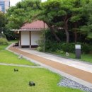 새(금호) 이미지