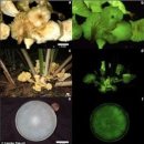 농선농장 이미지