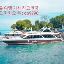 투어킹 이미지