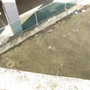 태양장여관 이미지