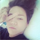 냥스타그램 티스토리