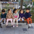 사우촌공원 Daum카페