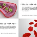 월드비에스