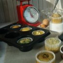 하이펫살롱 이미지