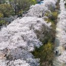 종로-종로-종로-종-130 이미지