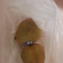 네네치킨방촌점 | 대구 신암동 치킨 맛집 / 배달 치킨 추천 / 죤맛 치킨 발견