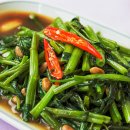 모닝글로리 이미지