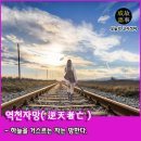 자망 이미지