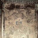 유림-1036 이미지