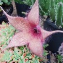 우각농장 이미지