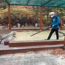 수락병설유치원 이미지