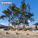 대왕암공원입구화장실 이미지