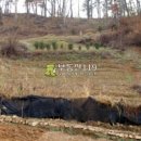 대덕농장1 이미지