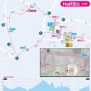 2026 영남일보 국제하프마라톤 - 일정, 코스, 기념품, 주차 등 모든 것