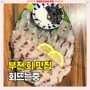 회뜨는중 - 남동구 | 회뜨는중