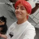 태형 이미지