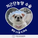 언제나동물병원 이미지