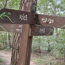 황방산 맨발걷기 이미지