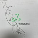 embedded clause 이미지