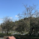 가야2리 경로당 이미지