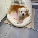 CU온누리점 이미지